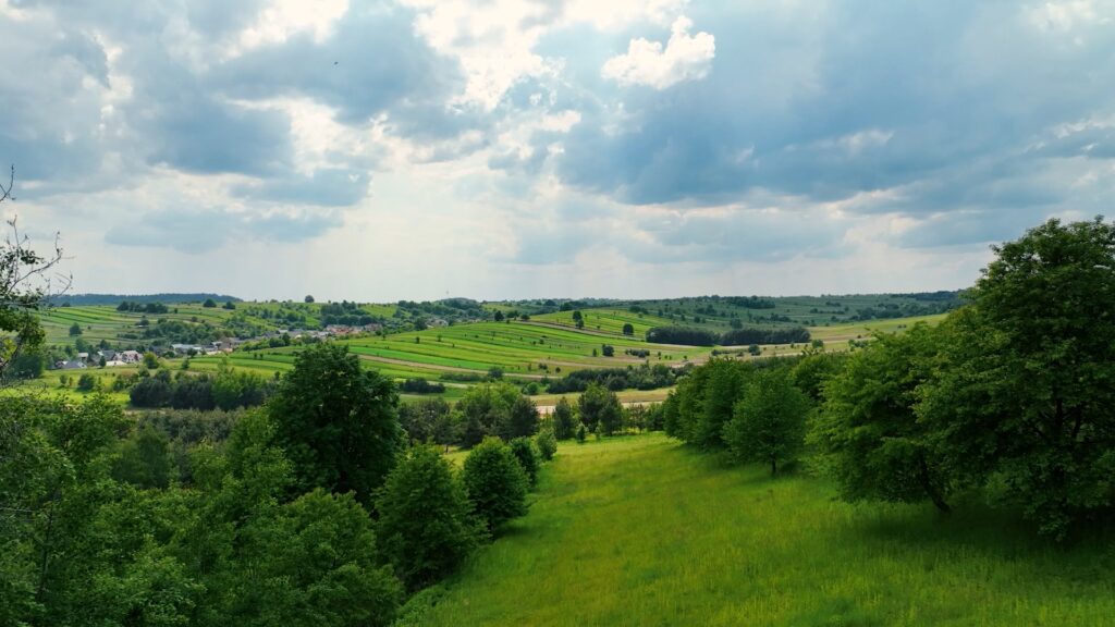 PARK-ujemy_s1_e10_Roztoczanski_Park_narodowy