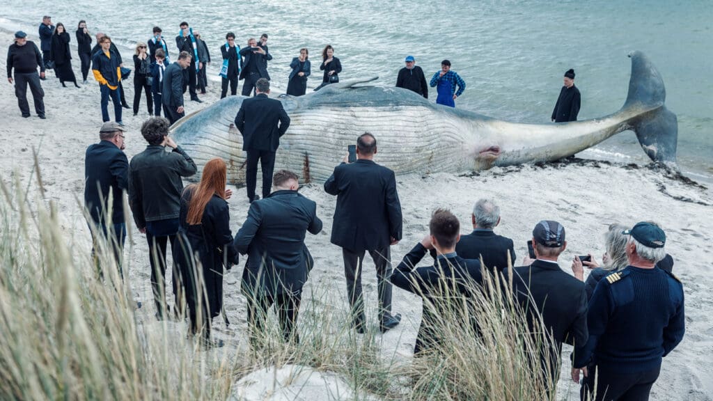 Scheda , sezon 1 , odcinek 1 , n/z fot. TVN Warner Bros. Discovery / Piotr Żagiell