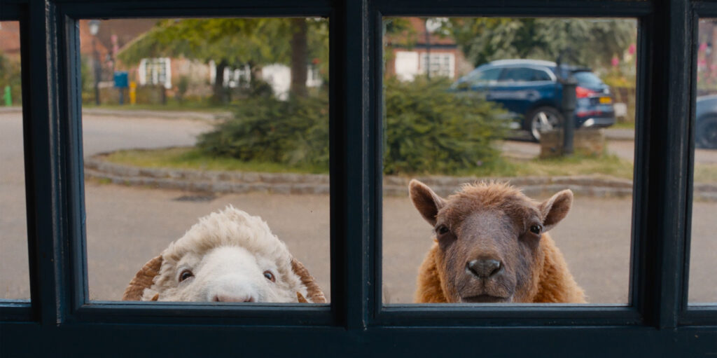 (L to R) Chris O'Dowd as the voice of Mopple and Julia-Louis Dreyfus as the voice of Lily in THE SHEEP DETECTIVES, from Amazon MGM Studios.
Photo credit: Courtesy of Amazon MGM Studios
© 2026 Amazon Content Services LLC. All Rights Reserved.
